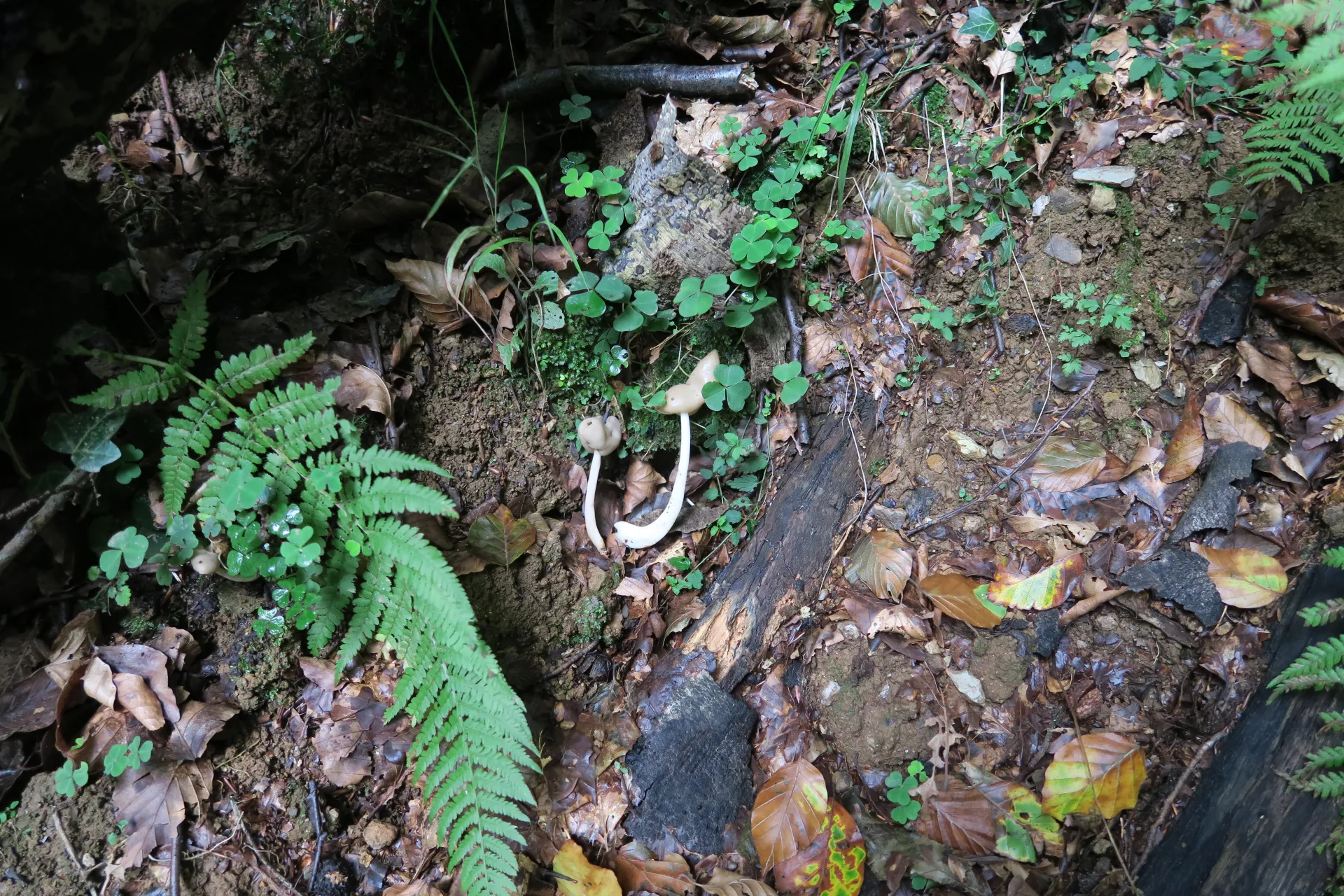 1 -